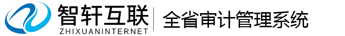 全省审计管理系统