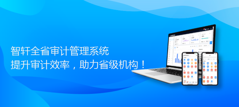 全省审计管理系统